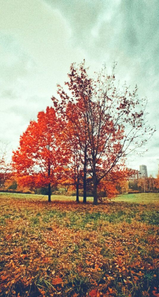Photograph by Ольга