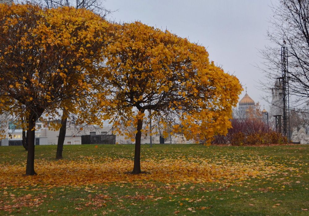 Photograph by Анастасия Смирнова