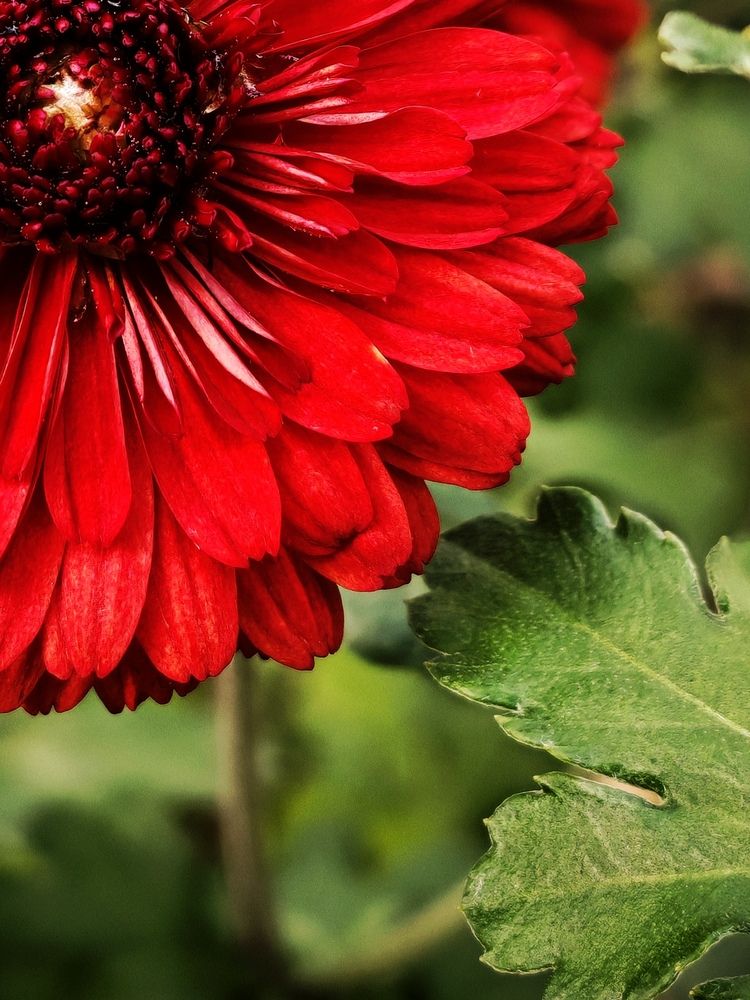 Photograph by Инна Мухина