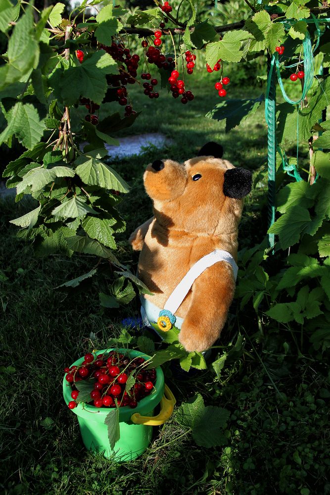 Фотография автора Елена Лаврова