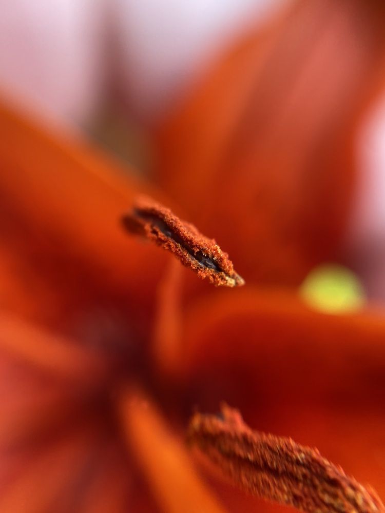 Фотография автора Татьяна Шайпак