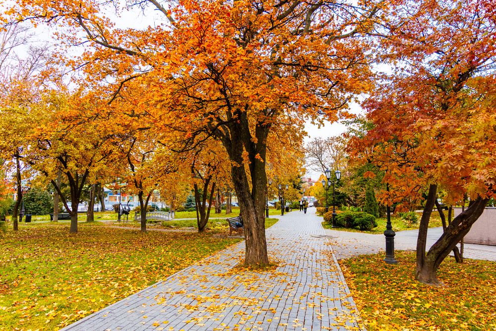 Фотография автора Артур Петросян