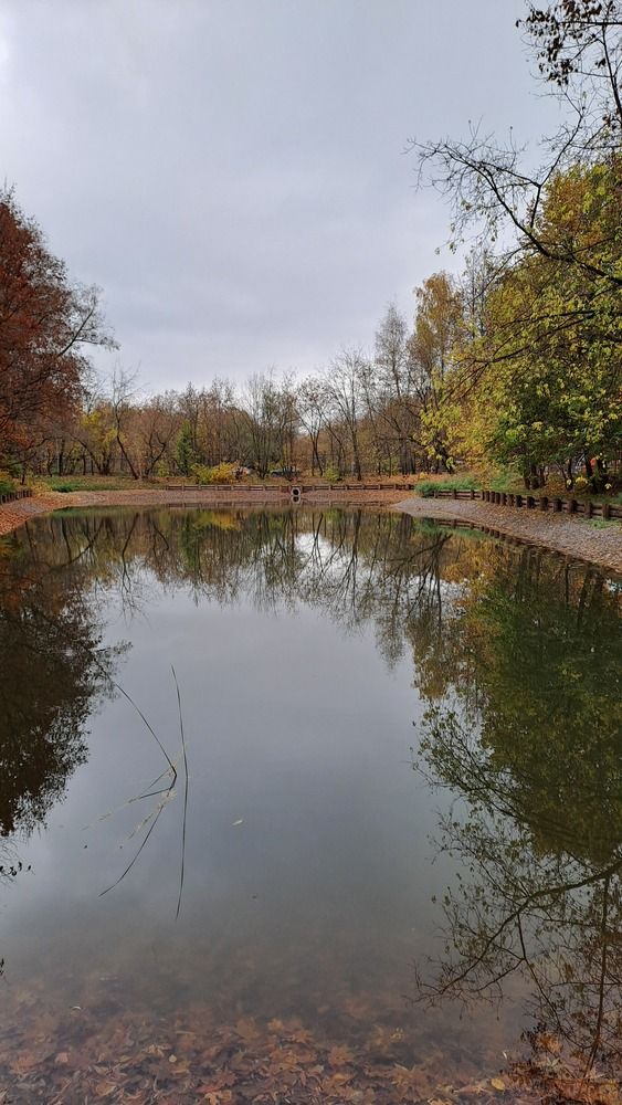 Photograph by Ирина Владимировна