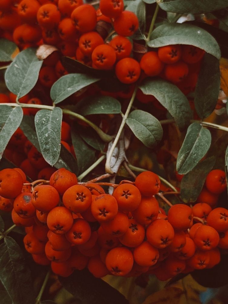 Photograph by Наталья Горовых