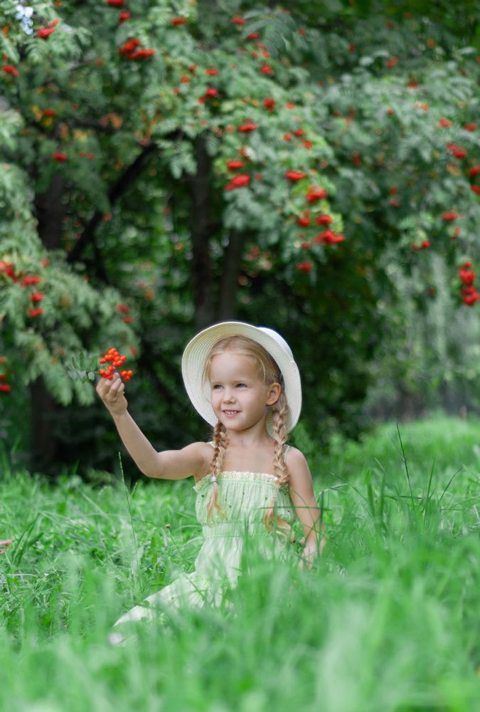 Алая рябина в нашем саду