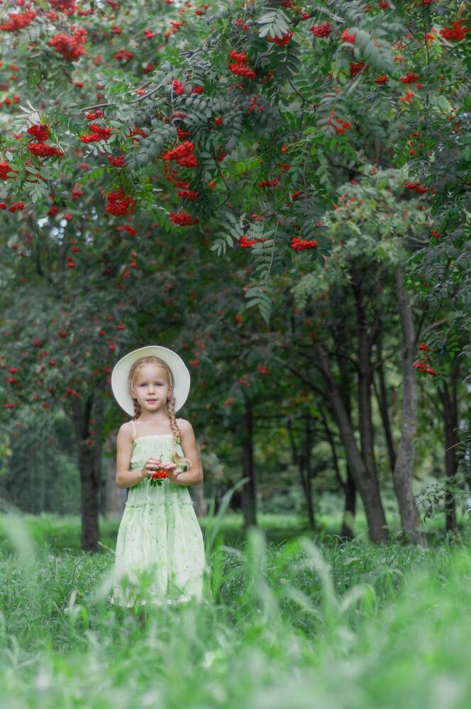 Фотография автора Александра Белова