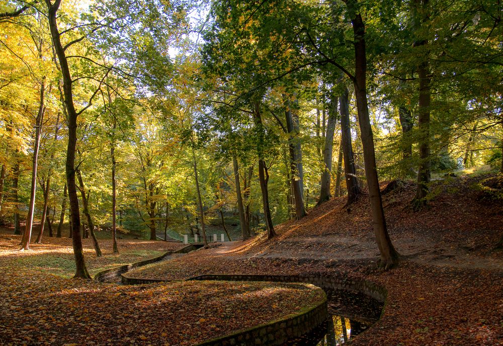 Photograph by Наталья Брюхненко