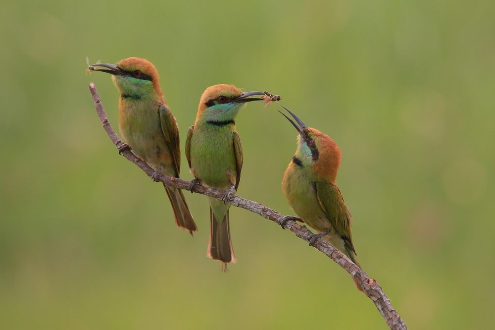 Photograph by nguyên trương
