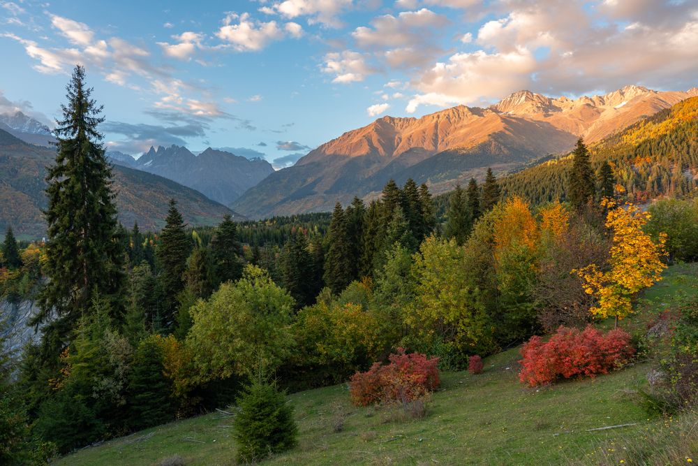 Photograph by Манаков Илья