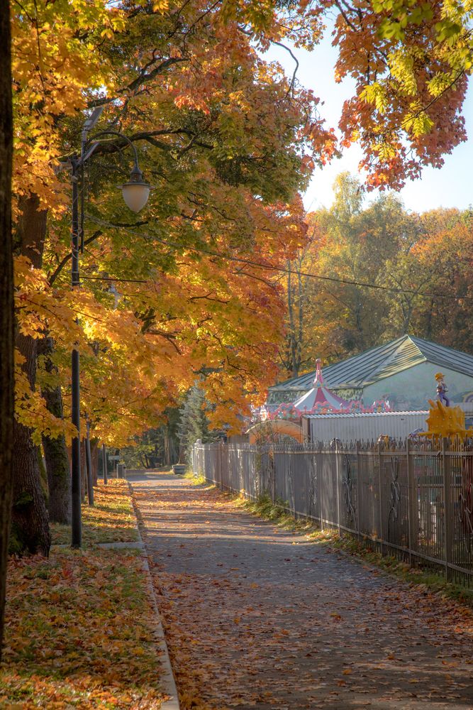 Photograph by Наталья Брюхненко