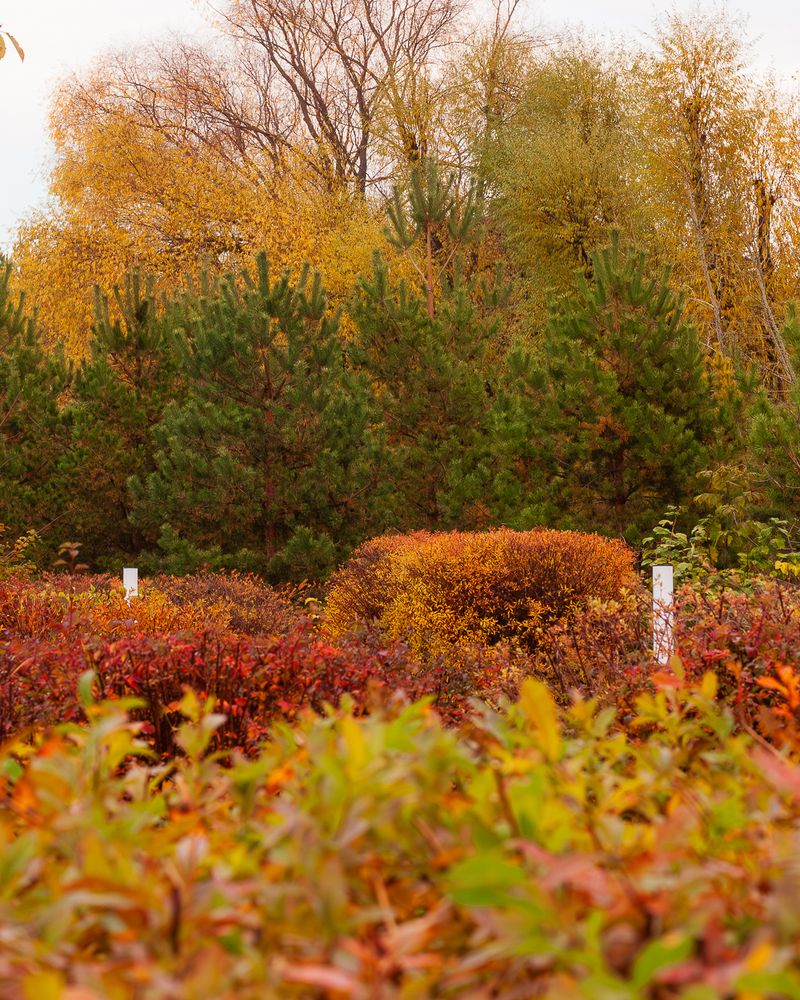 Photograph by Grigoriy