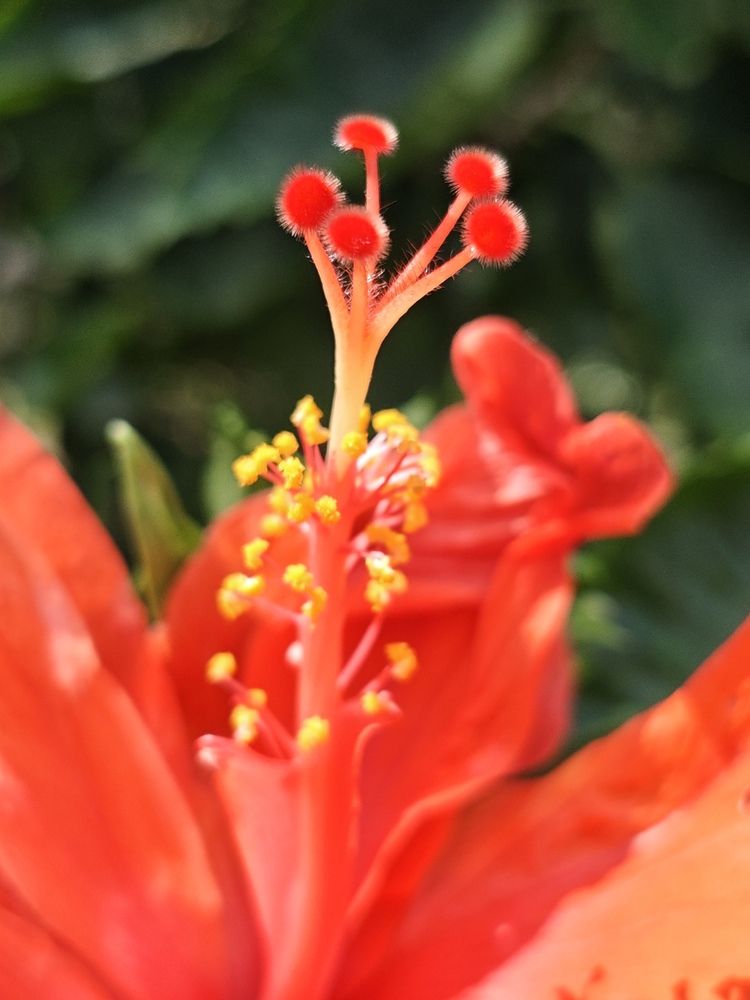 Photograph by Jonna Sabenorio