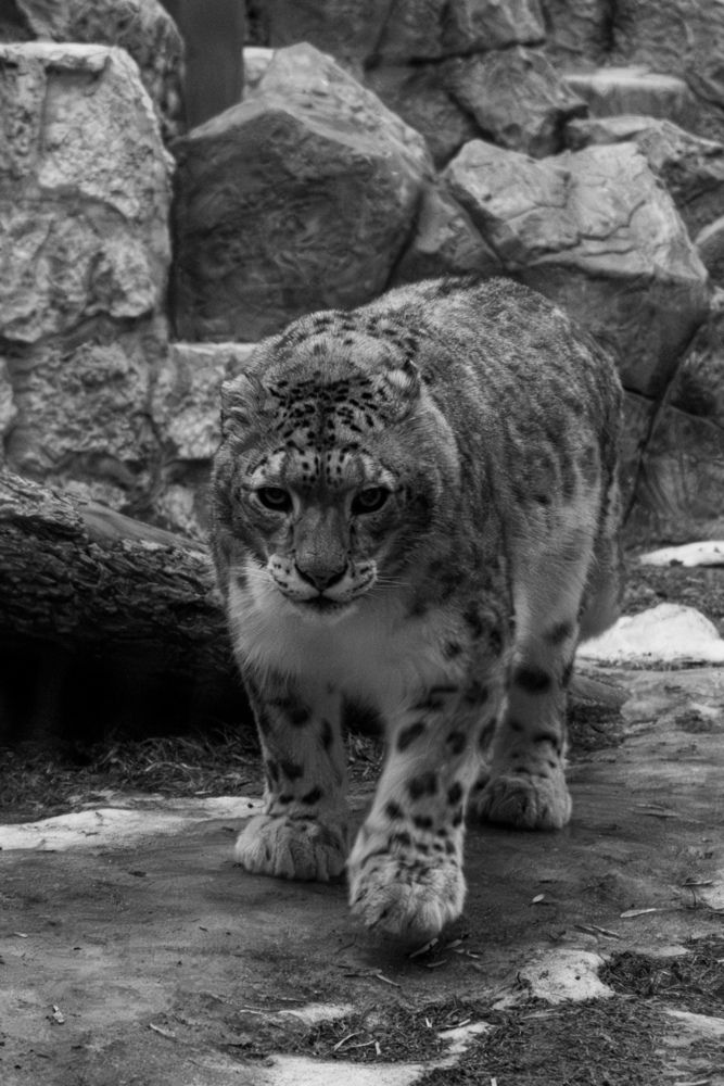 Photograph by Арсений Крят