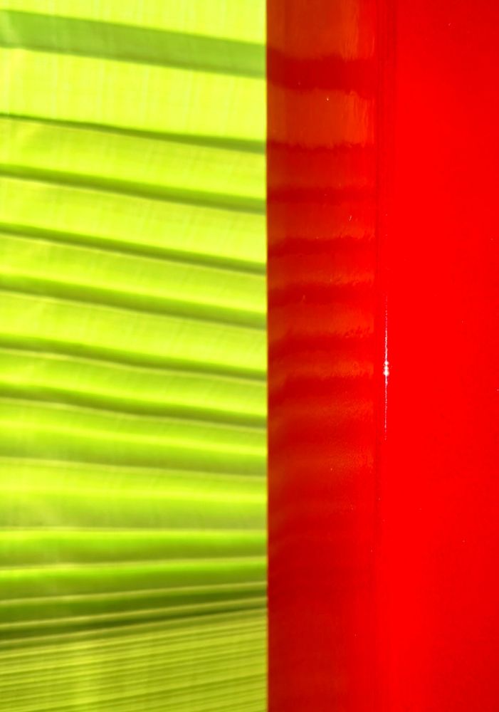 Photograph by Olga Kot