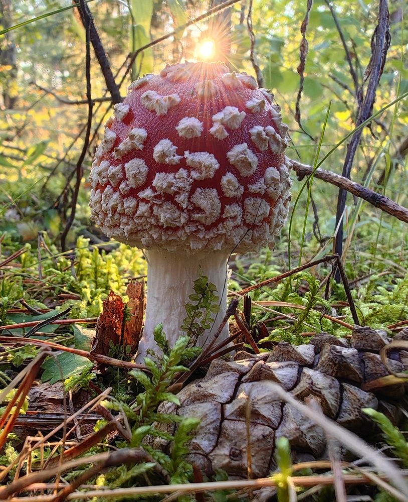 Photograph by Maiya Bulatova