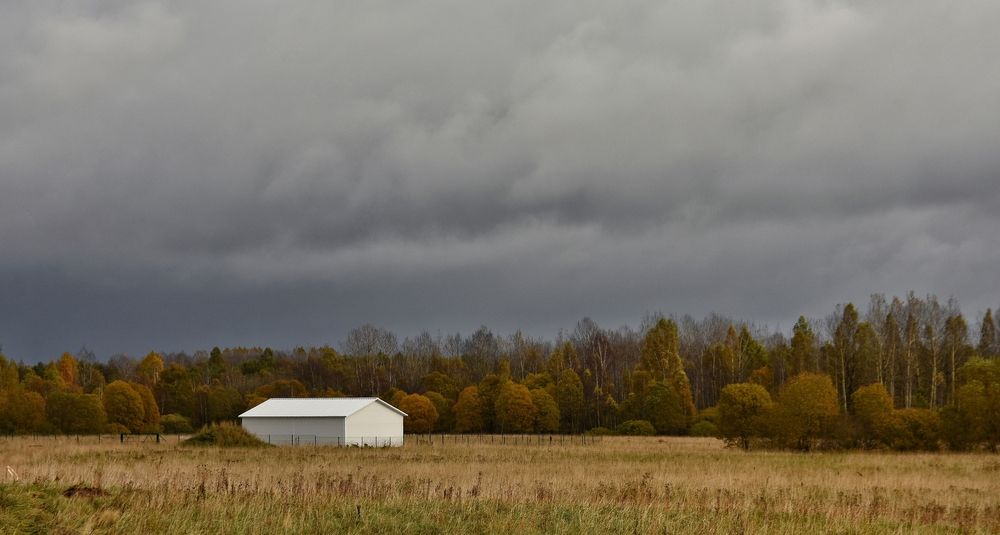 Photograph by Татьяна Абабкова