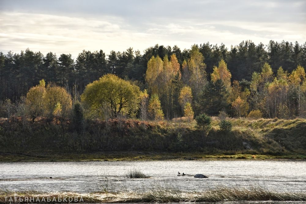 Photograph by Татьяна Абабкова