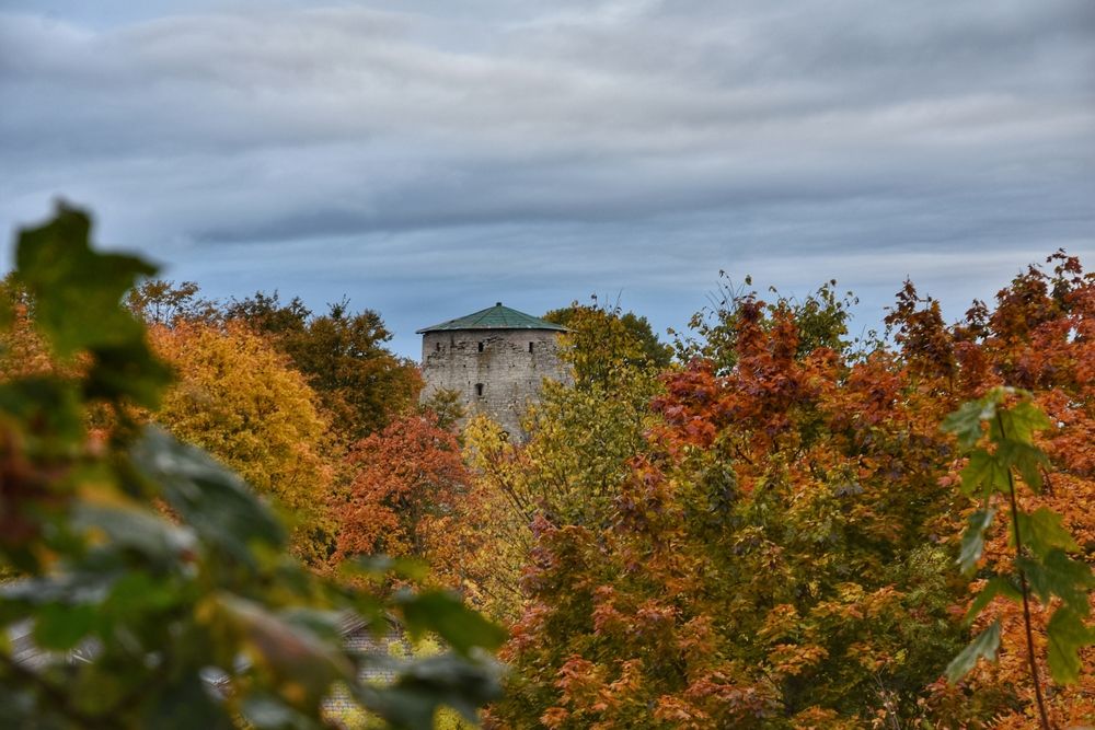 Photograph by Татьяна Абабкова