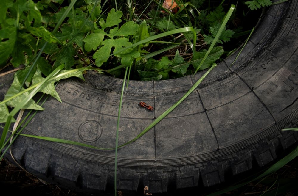 Photograph by Марина Михайлова