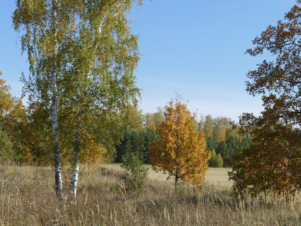 Photograph by Александр Кизим