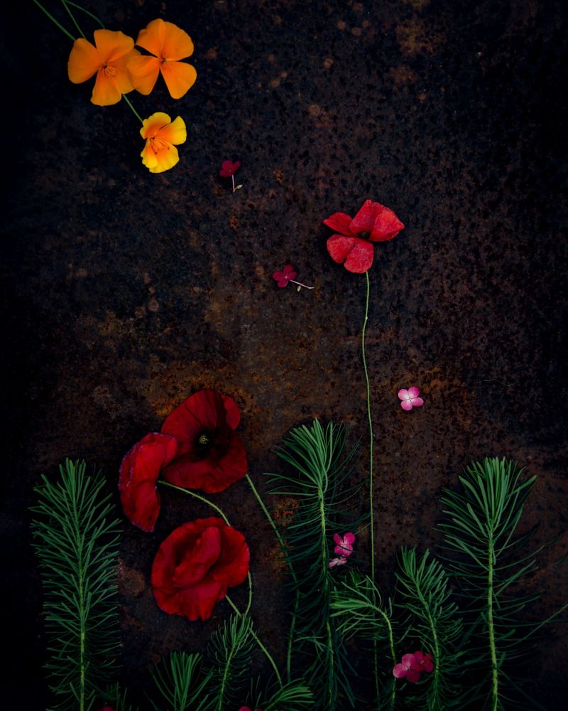 Photograph by Марина Михайлова