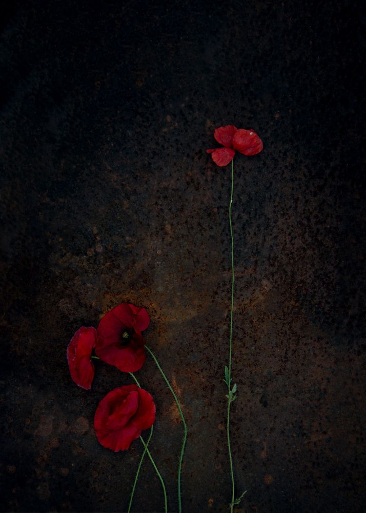 Photograph by Марина Михайлова