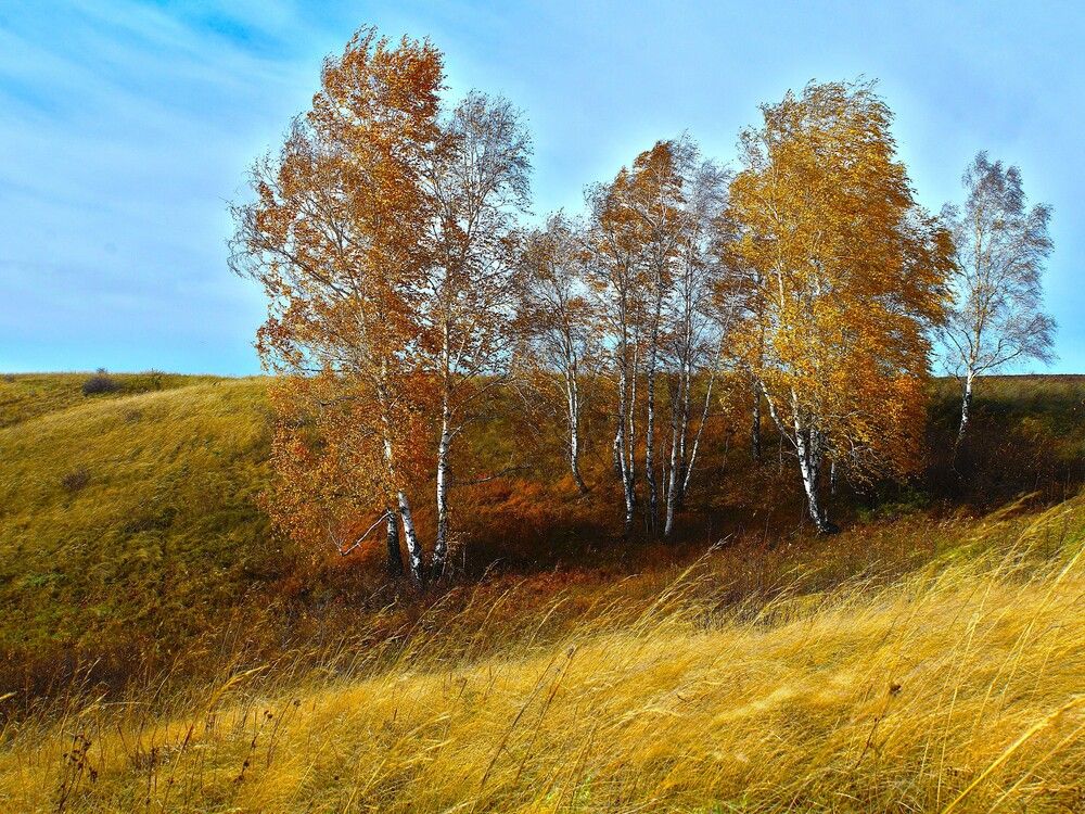 Photograph by Владимир Семиченко