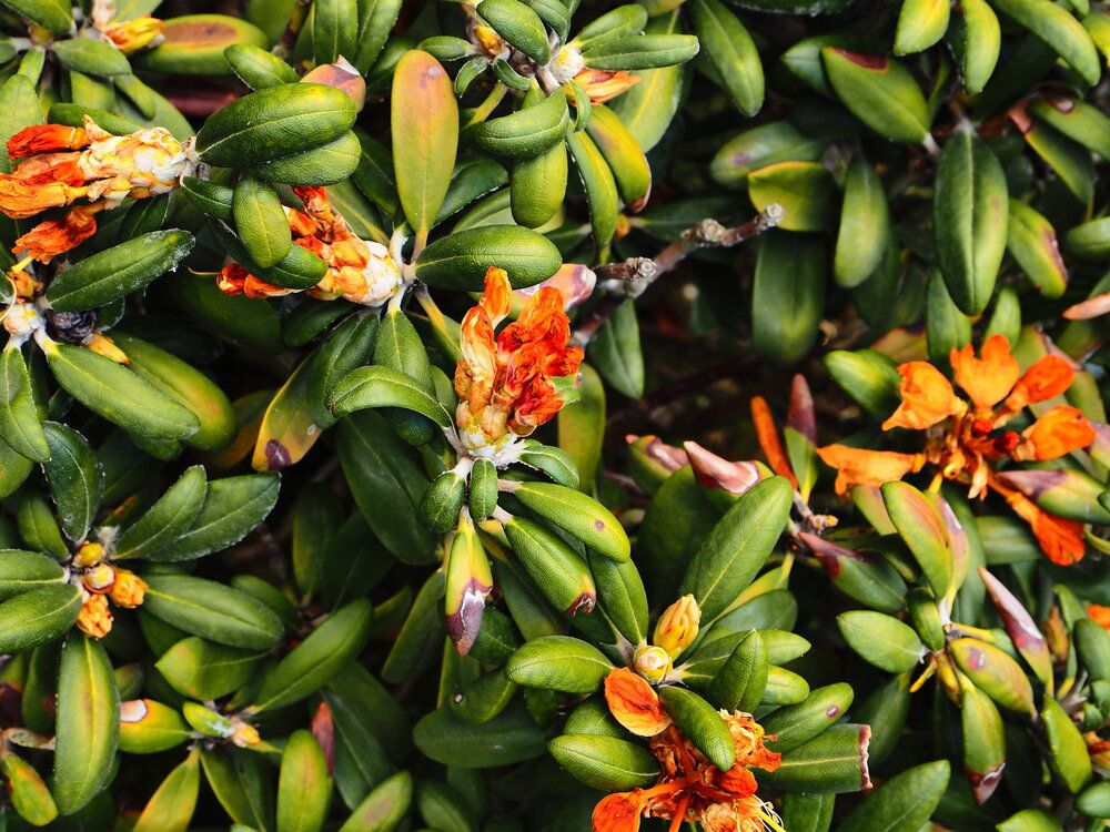 Photograph by Сергей Борисов