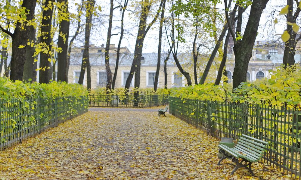 Photograph by Геннадий Капунов