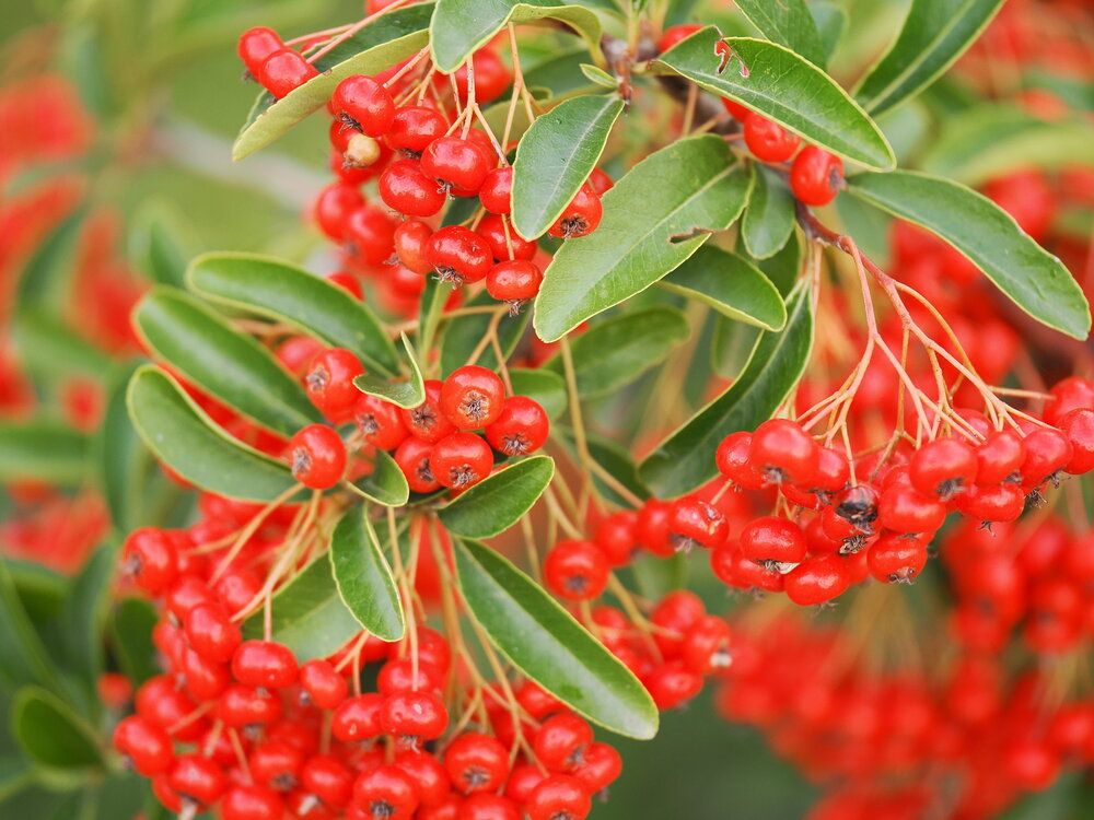 Photograph by Сергей Борисов