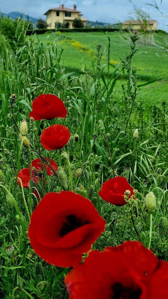 Photograph by Natasha