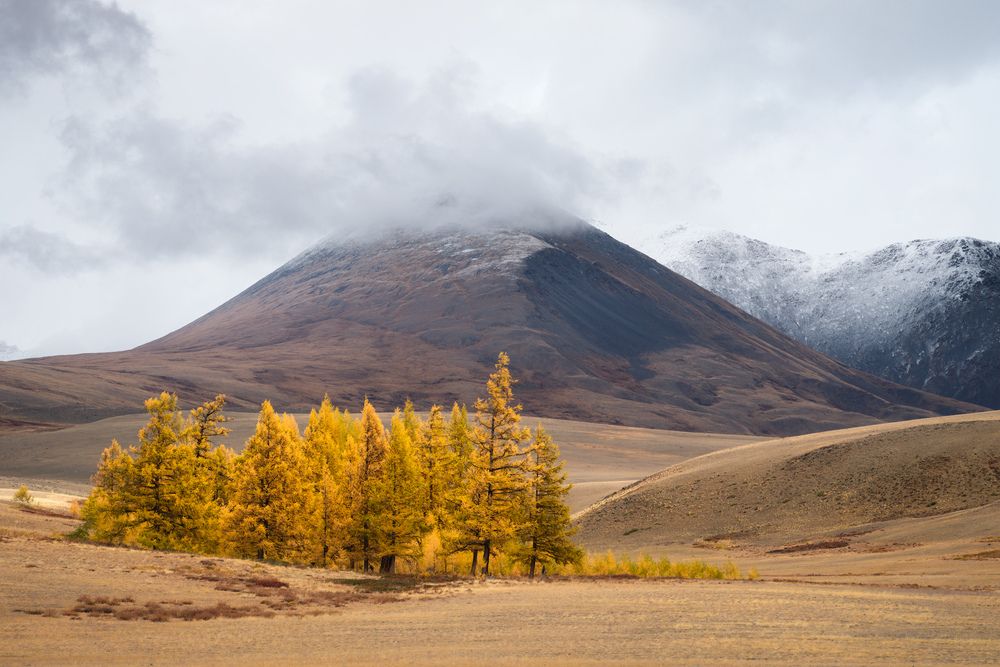 Photograph by Леонтьев Константин