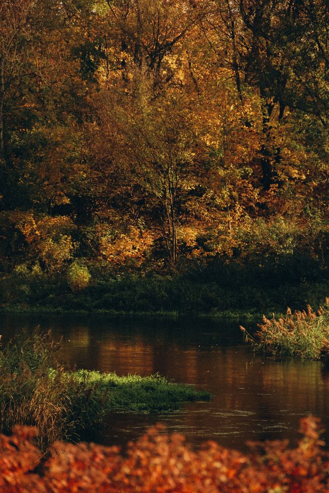 Фотография автора Алиса Исаева