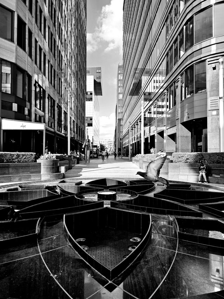 Фотография автора Anna Chistiakova