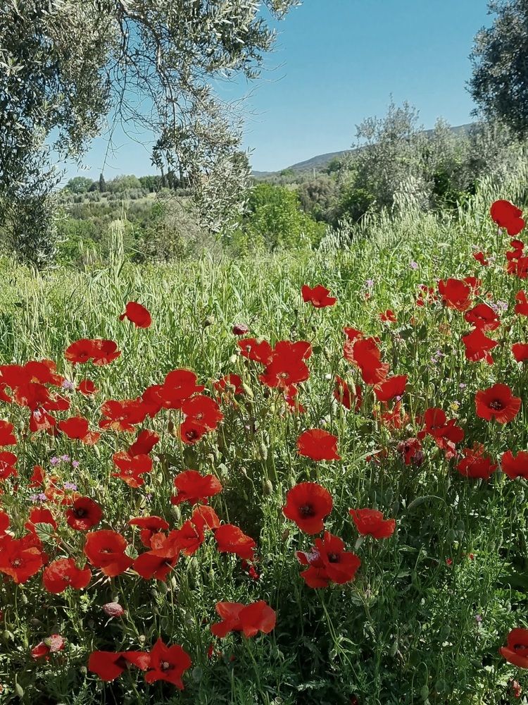 Photograph by Natasha