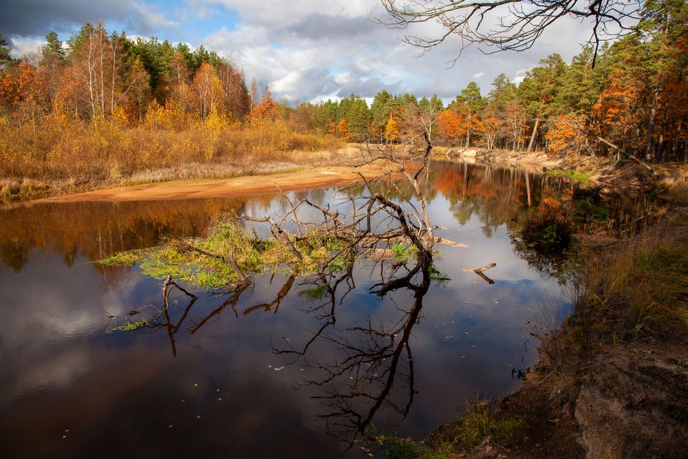 Осенняя акварель