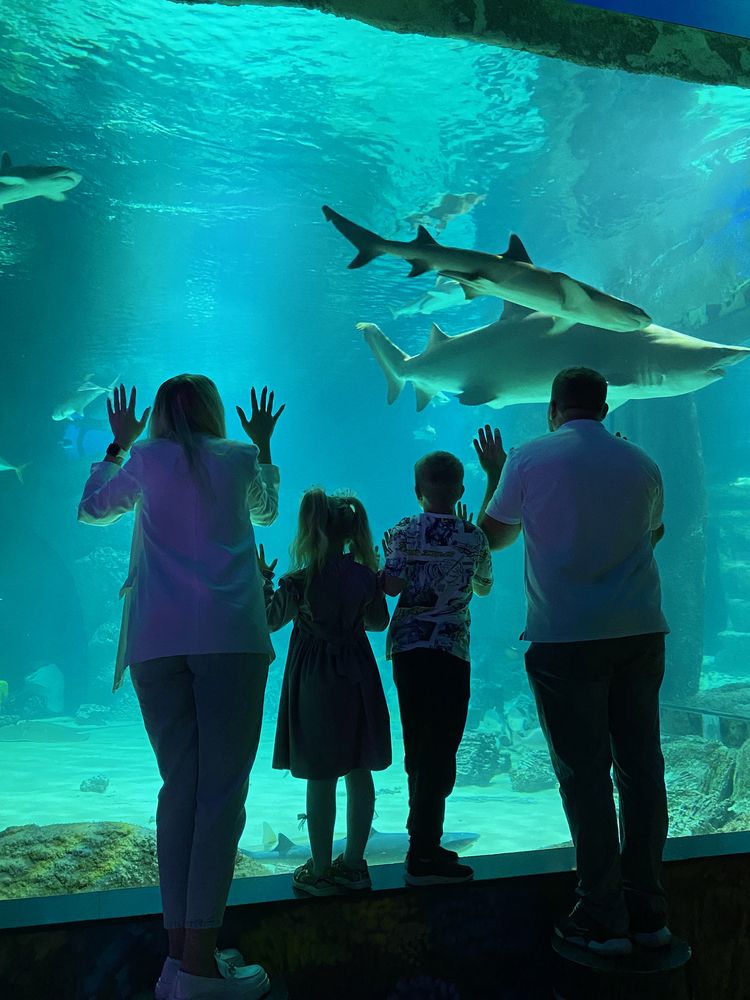 Photograph by Светлана Карнаух