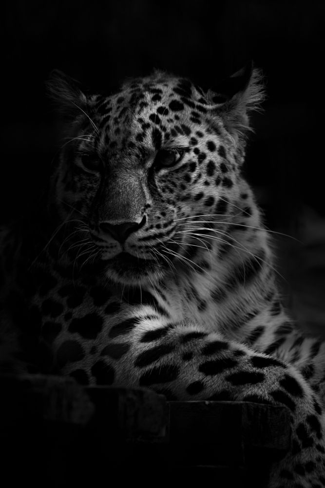 Фотография автора Kurouzu Setsuna