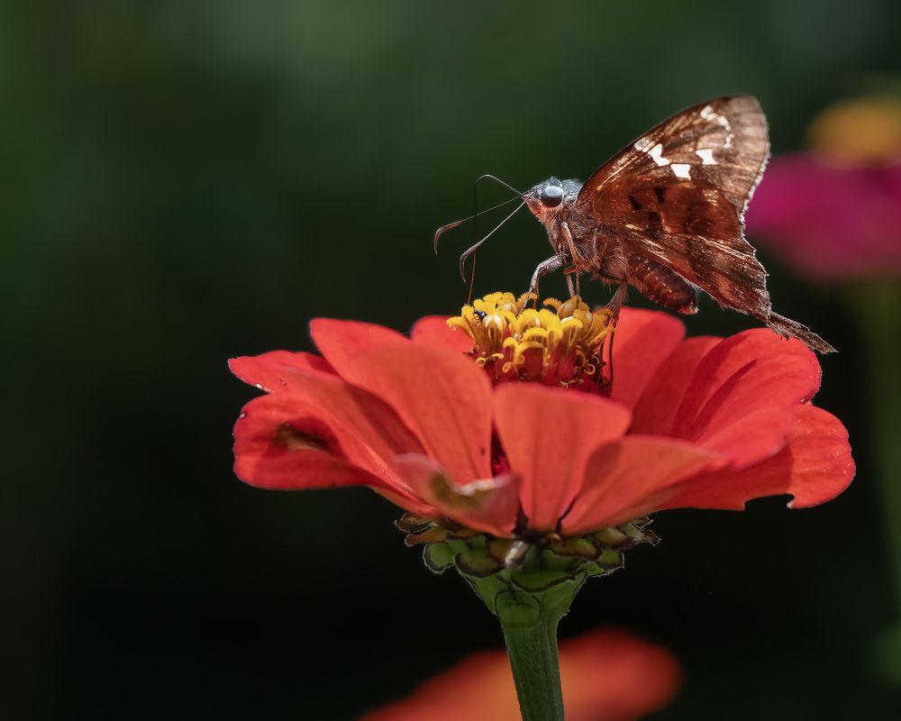 Photograph by Margoth Toro