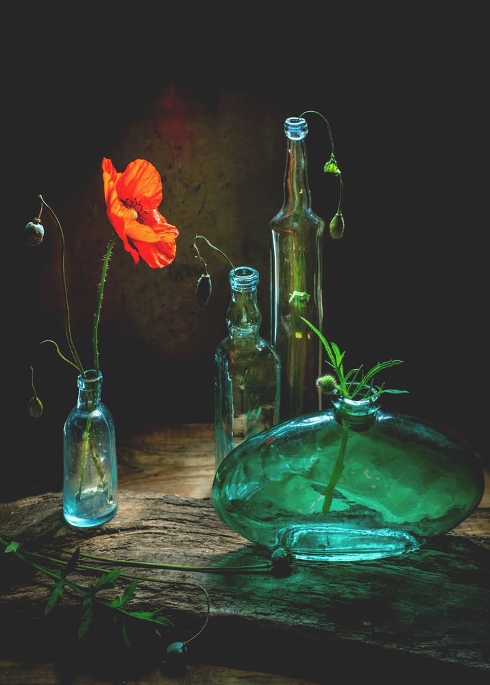 Photograph by Tатьяна Дин