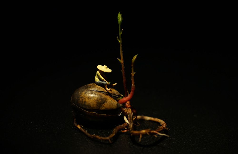 Фотография автора Сергей Чупахин