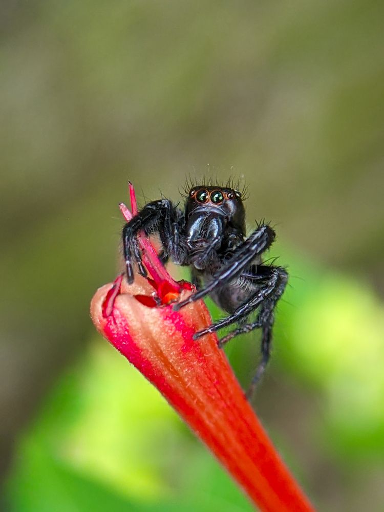 Photograph by Ameen Ahmed L