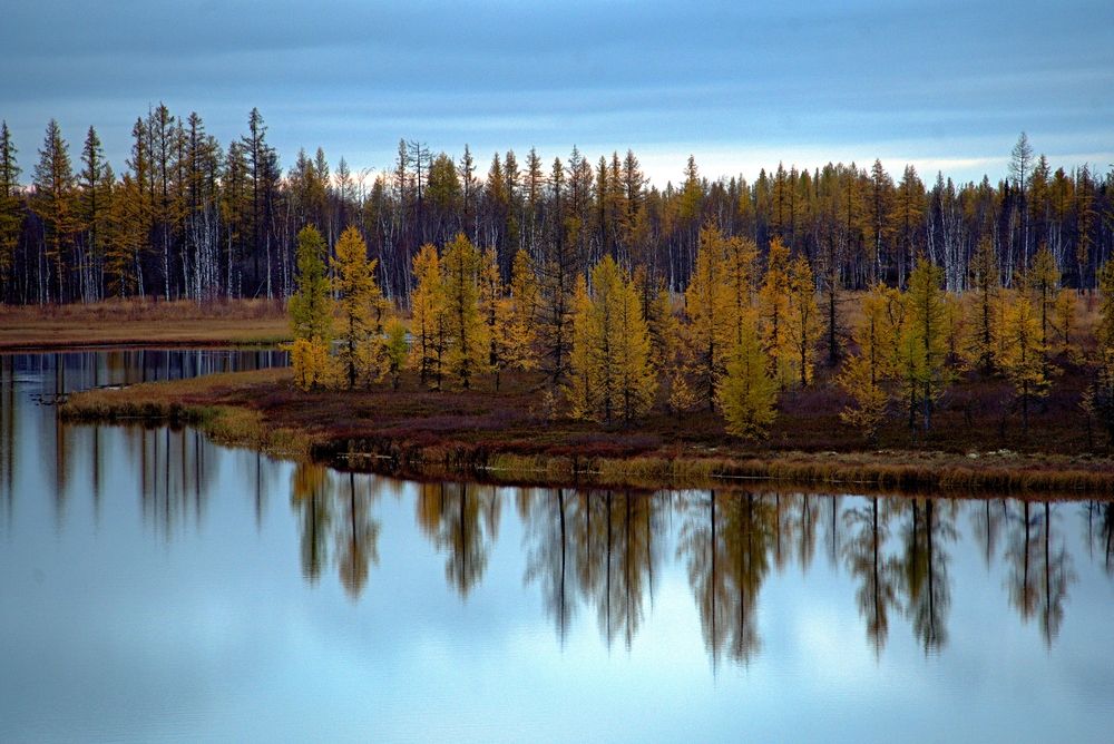 Photograph by Наталия Савченко