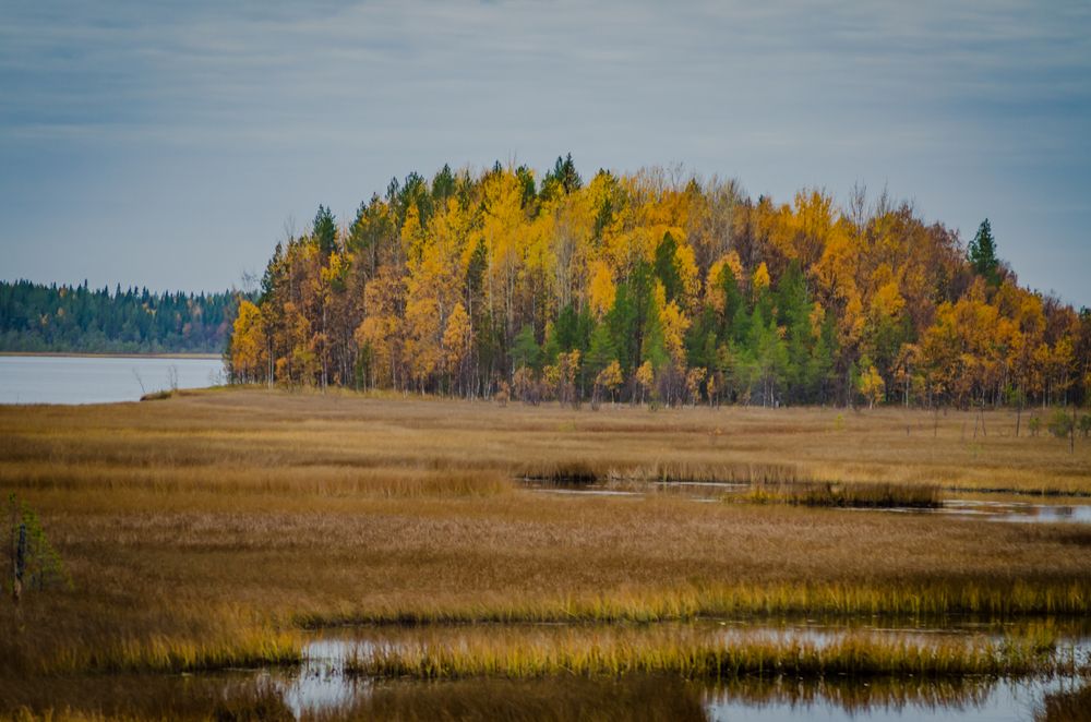 Photograph by Ольга Заповедная