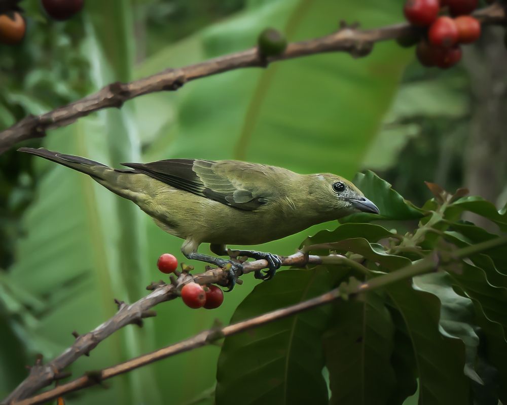 Photograph by Margoth Toro