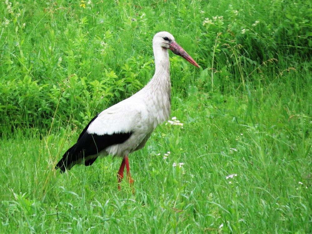 Photograph by Лариса Басова
