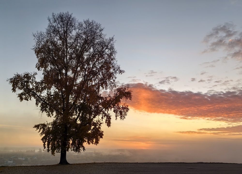 Photograph by Maiya Bulatova