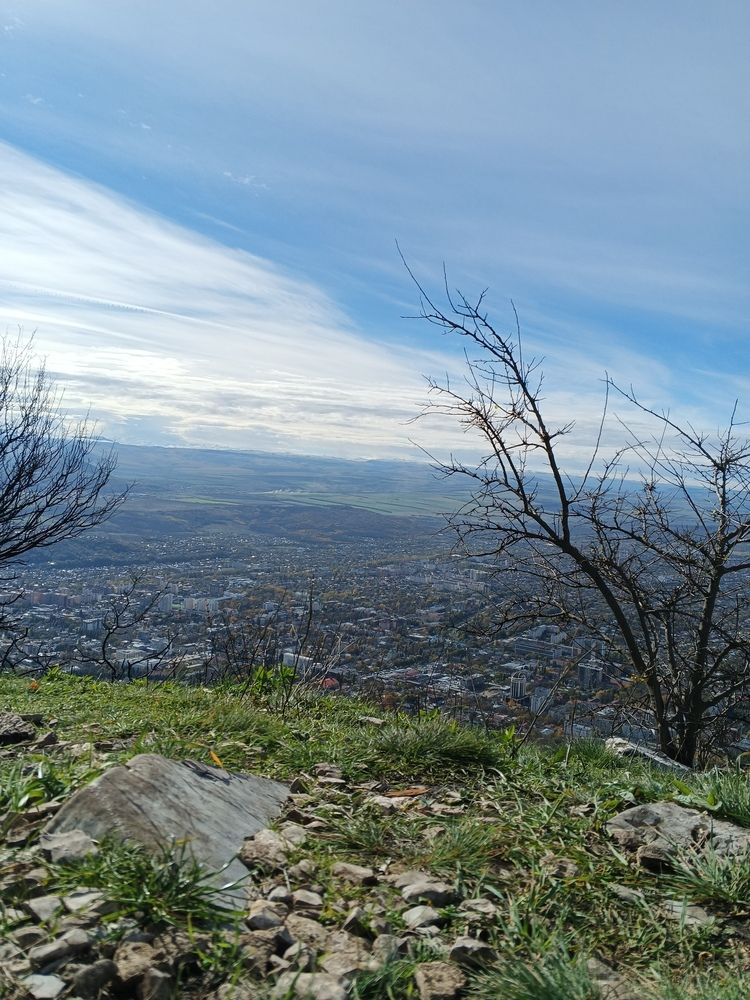 Photo #12759761