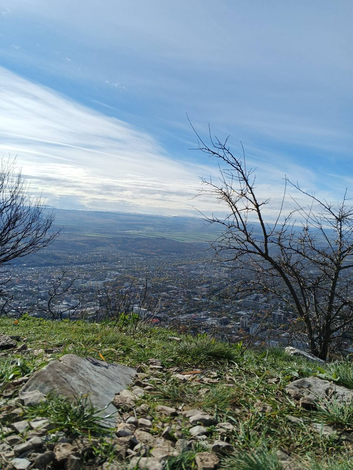 Photo #12759761