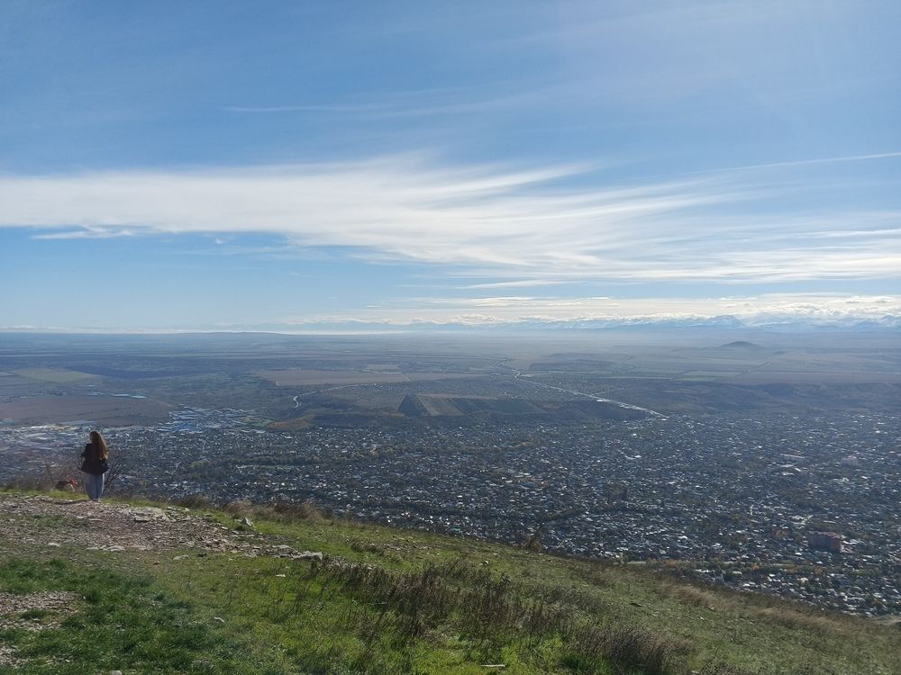 Photo #12759775